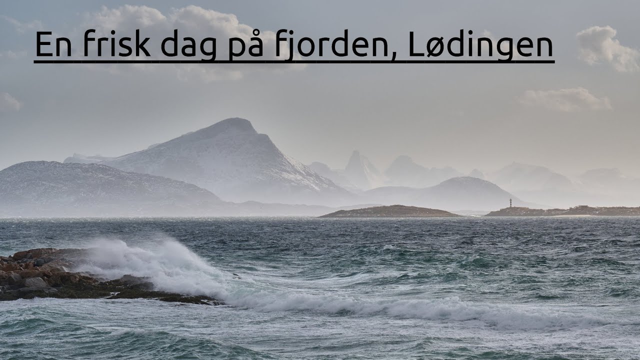 En frisk dag på fjorden, Lødingen.