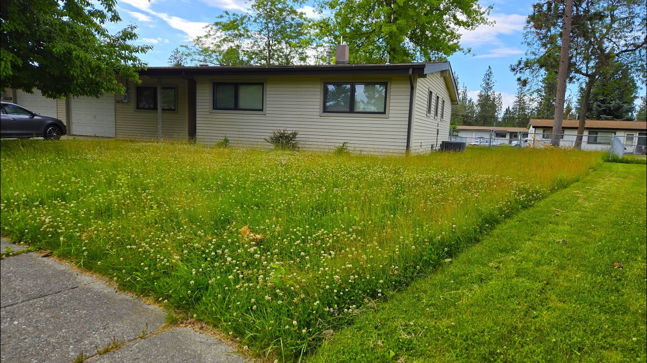 Nobody Could HELP This Single Mom With Her Grass Until She Called Me