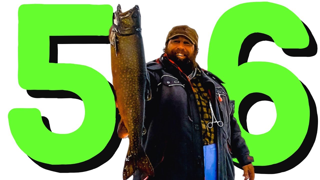 Поймано 56 сплэйков за 6 часов!