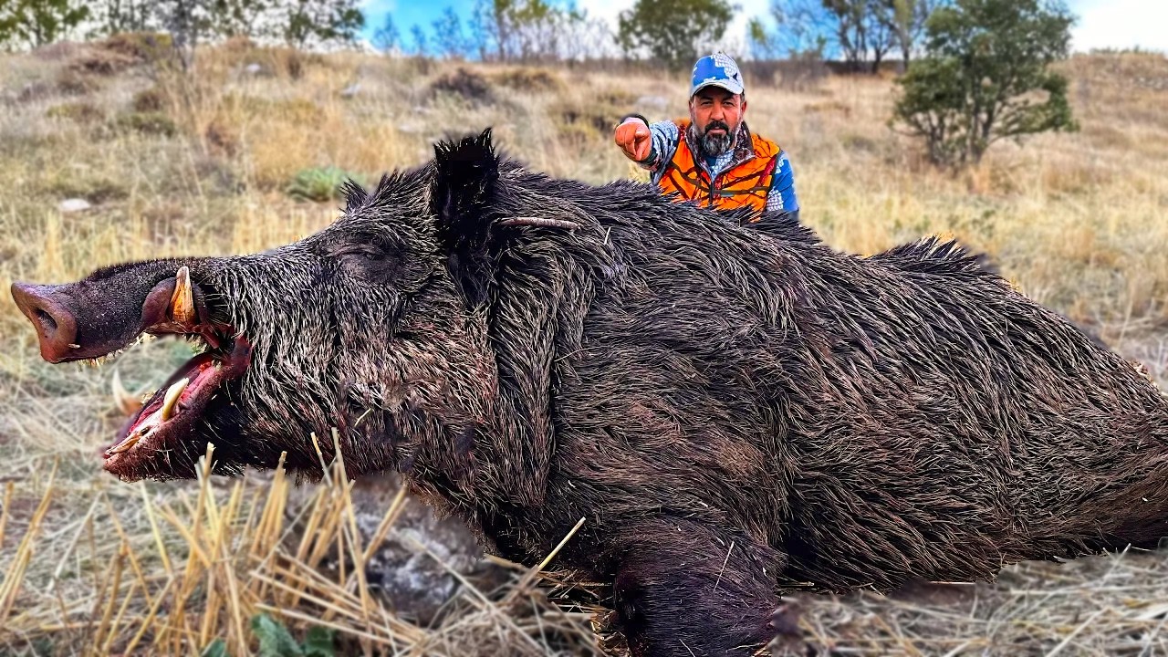 HUNTING the BEAST: INCREDIBLE Shots on WILD BOARS, EPIC Hunting Scenes!