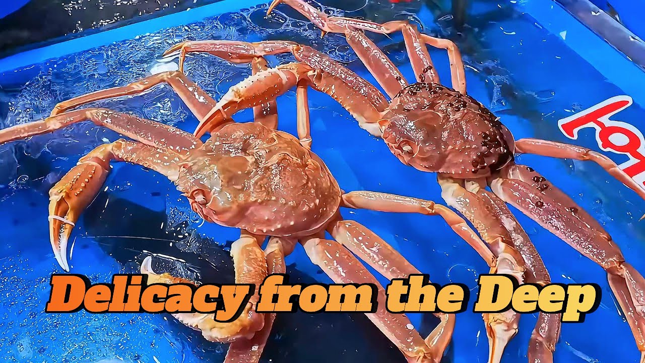 Matsuba Crab: A Delicacy from the Deep