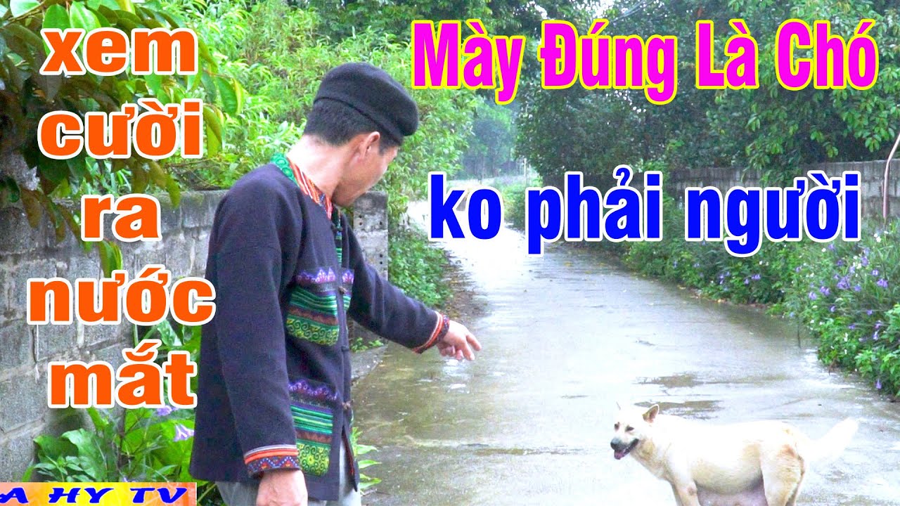 BỐ VỢ CON RỂ THỜI COVID phần 12 - Phim Hài 2021 A Hy Mới Hay Cười Vỡ Bụng - Khôn Qúa Hoá Dại