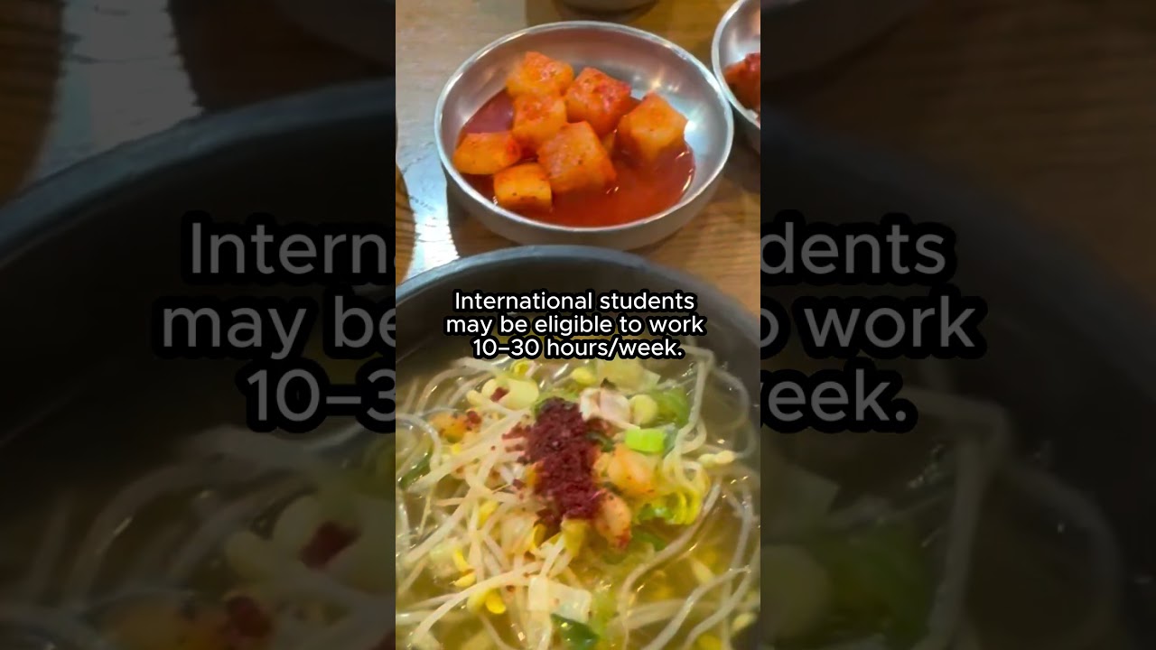 Study and Work in Korea #foryou #shorts #studyinkorea #internationalstudents #studyabroad2026
