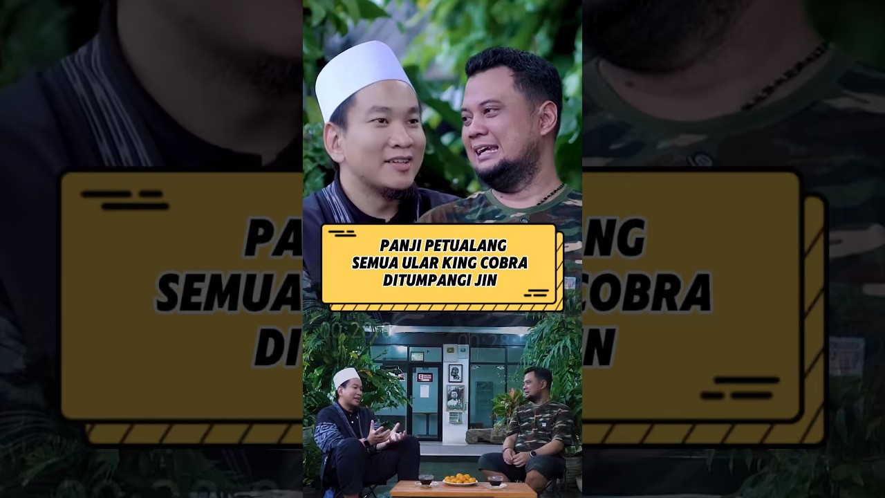 Panji "ular king cobra ditumpangi jin‼️ 
