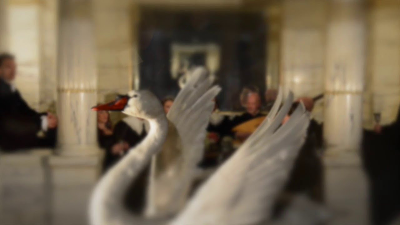 Romeo & Julia Kören - Il bianco e dolce e cigno by Orazio Vecchi