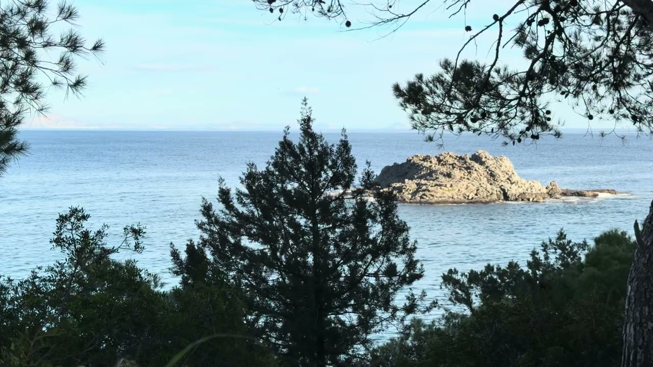 Sea View Through Trees 🌊 8 Hours Relaxing Sea Sounds | Nature Sleep Ambience 