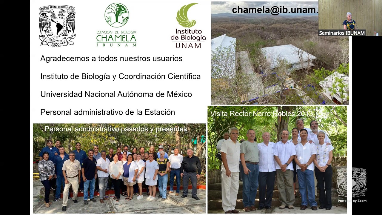 Maravillas ocultas del bosque tropical seco