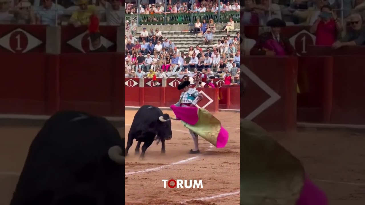 Morante de l Puebla con el que cort&oacute; orejas y rabo en Salamanca #toros #short #shorts #viral #torero
