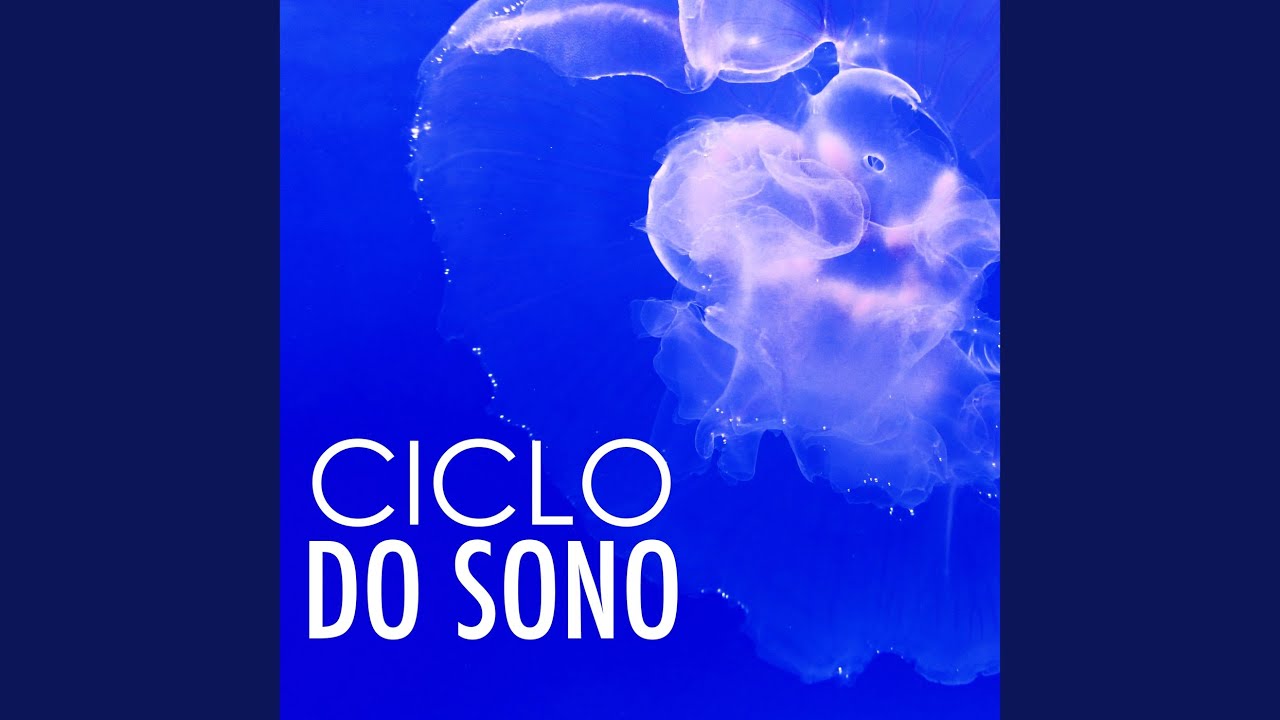 Sono REM