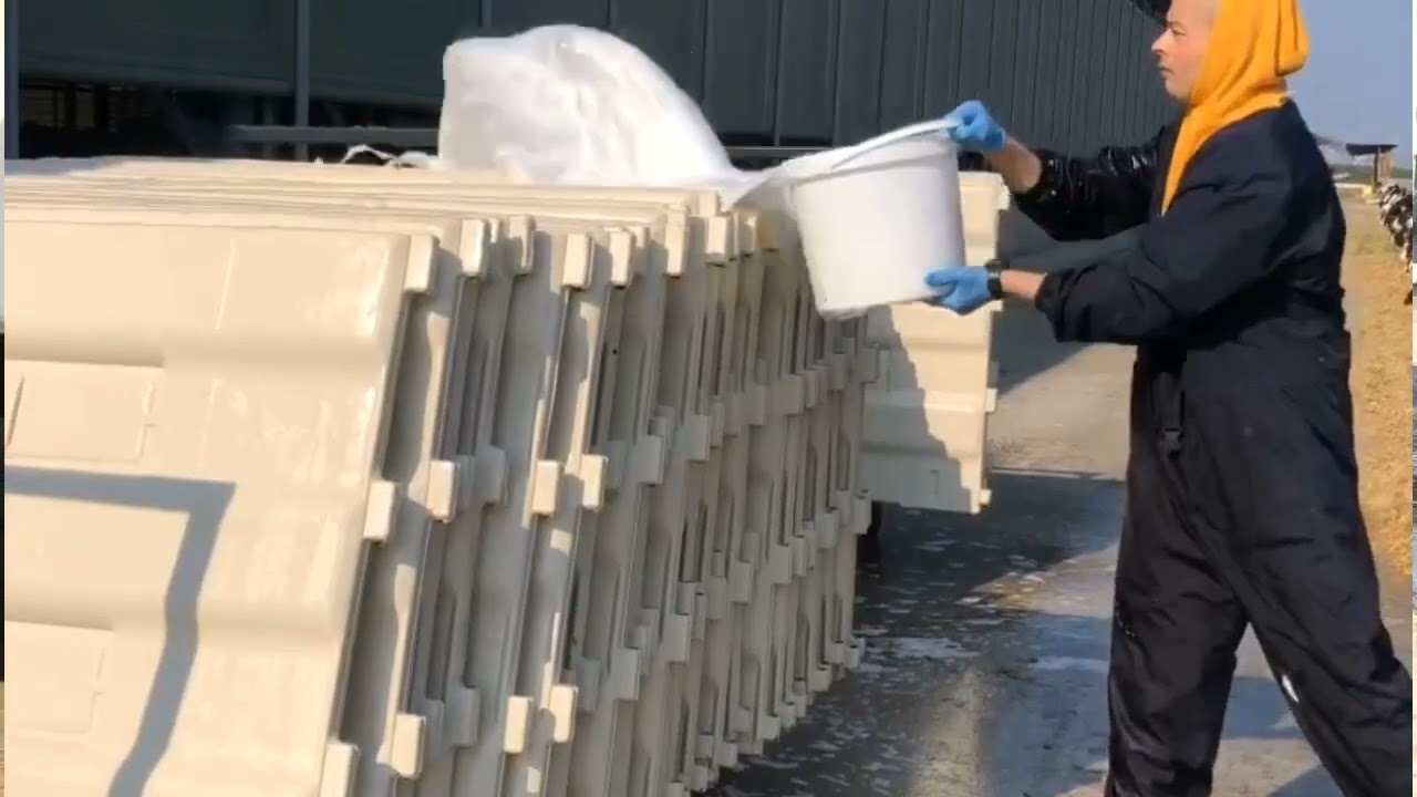 Calf-Tel indoor pen washing procedures.