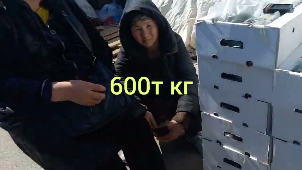 Шымкент БАРЫС базары 31.03.2023