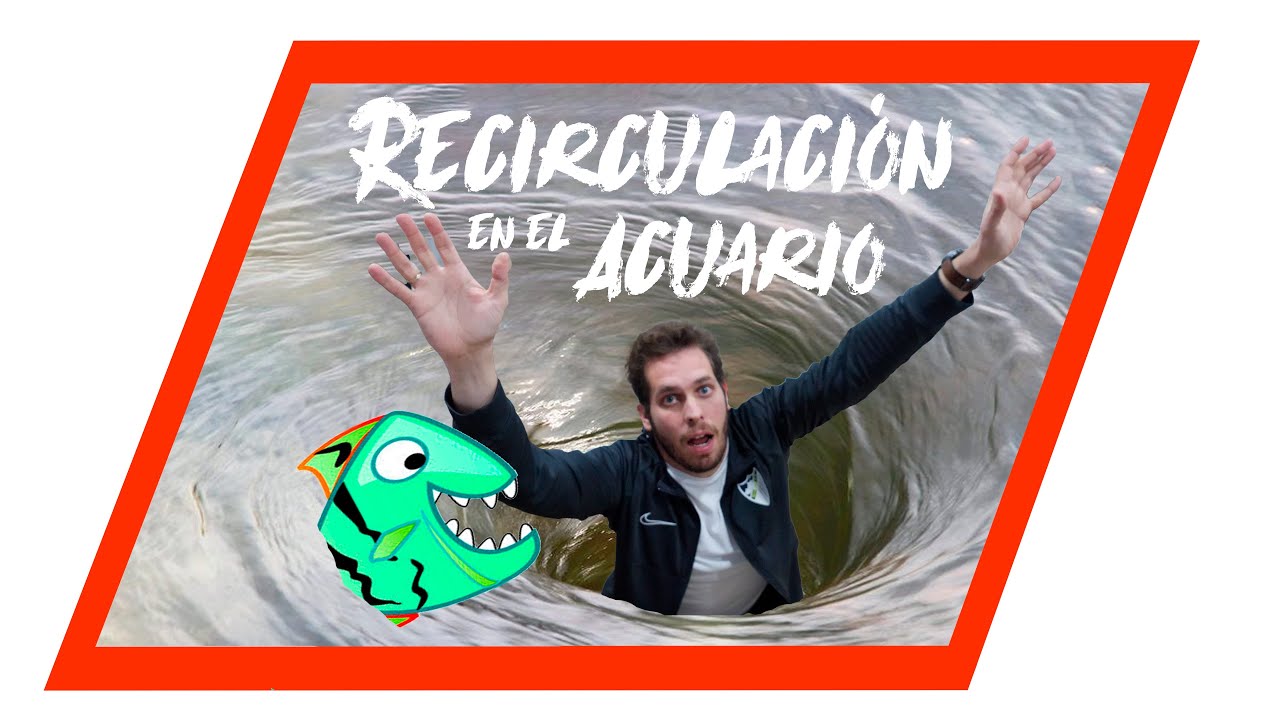 ⭐Mejora la CIRCULACIÓN  y elimina el BIOFILM de tu acuario. (RAPIDO)
