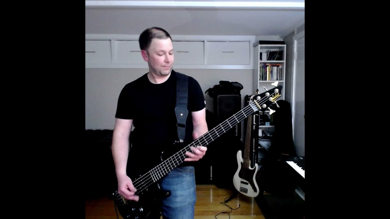 Schism by TOOL bass cover (Wal mk3)