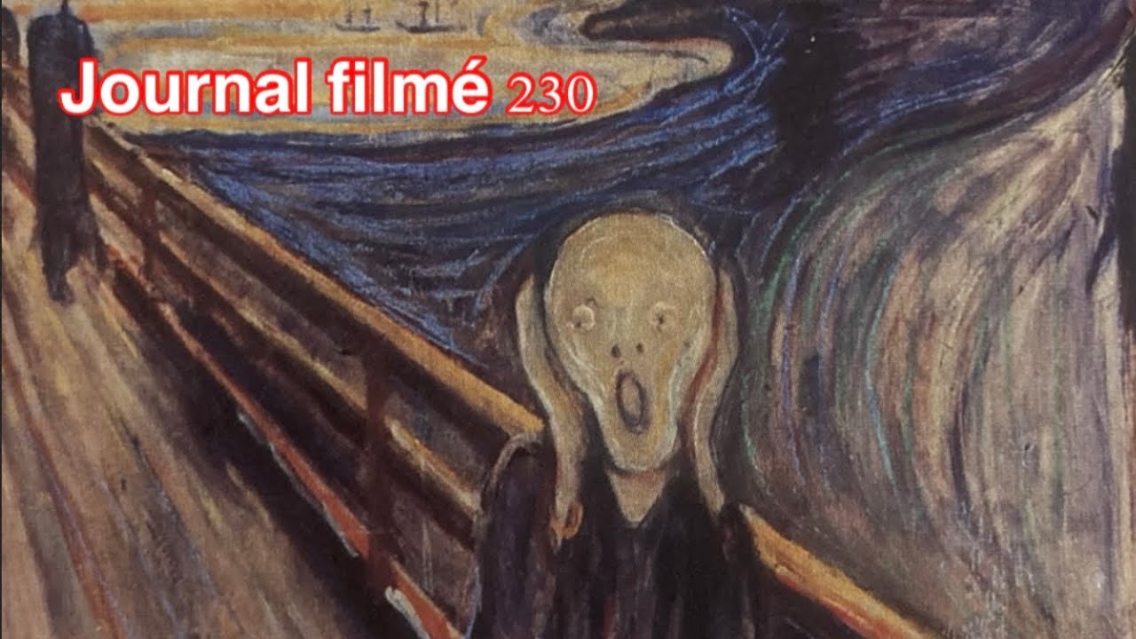 Journal film&eacute; 230