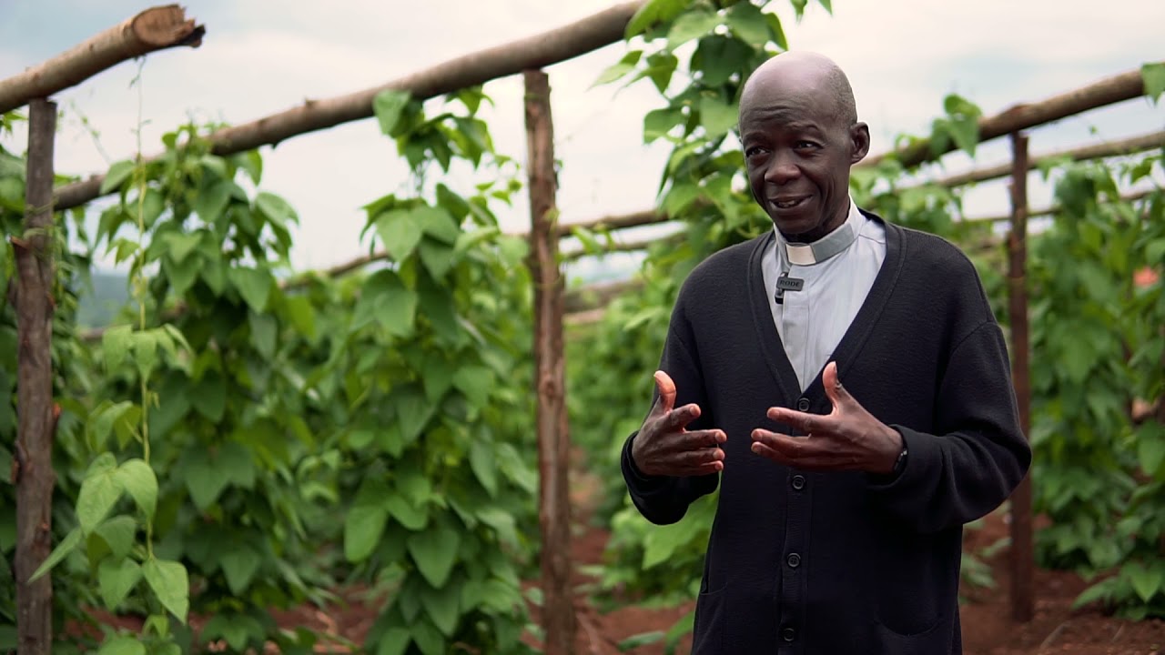 Katigondo Seminary Farm - IYFEP Host Farm