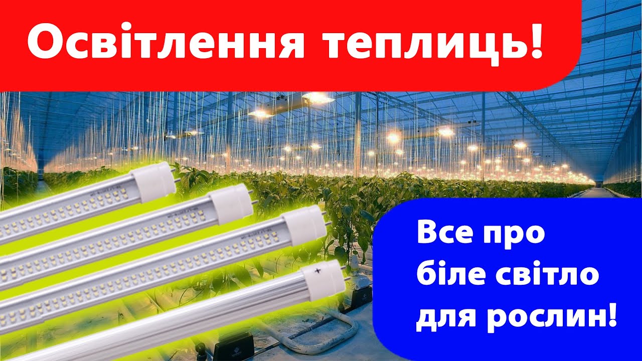 Освітлення в теплиці, від натрієвих ламп до правильного вибору білого світла та світлодіодів.