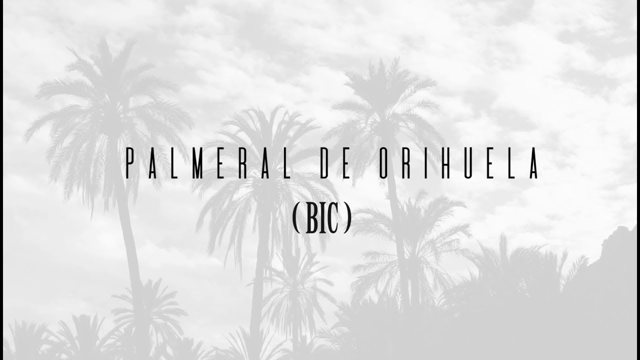 PALMERAL DE ORIHUELA ESP