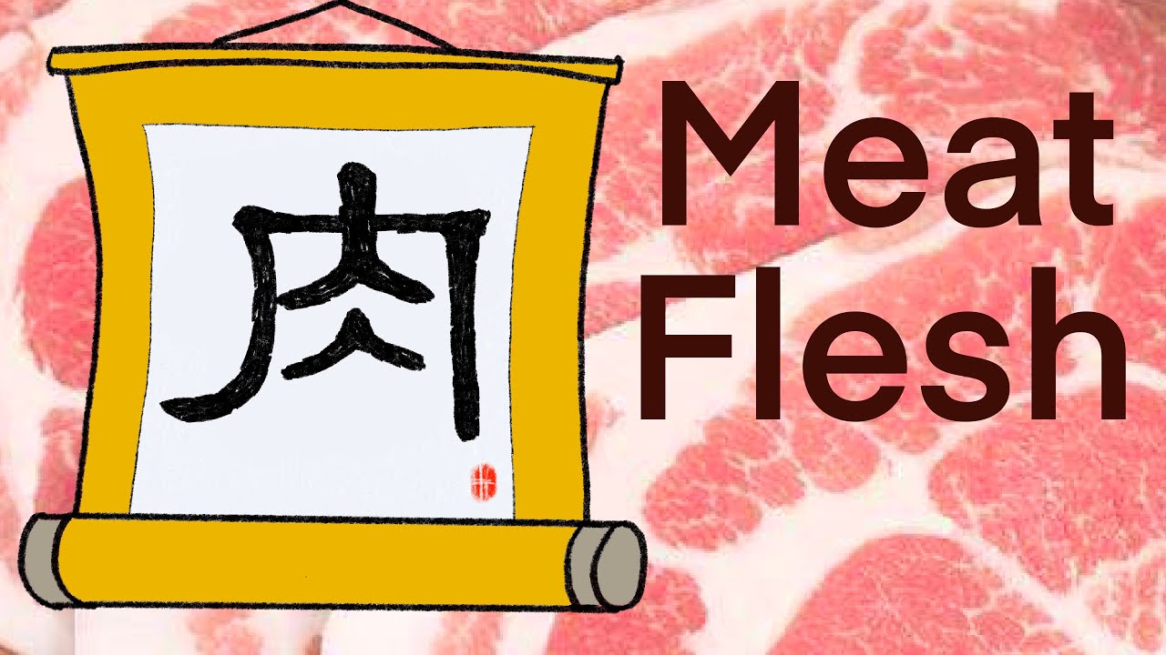 《漢字部首》肉