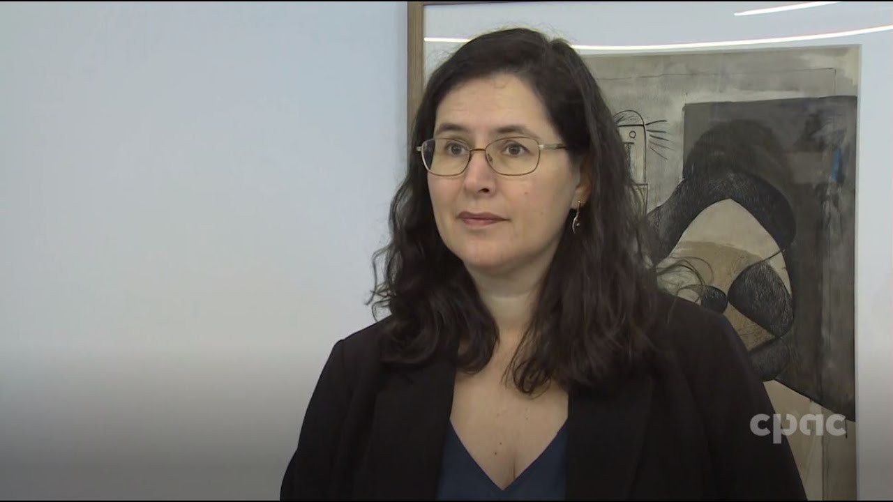 Civil liberties group discusses Federal Court decision on use of Emergencies Act – January 24, 2024