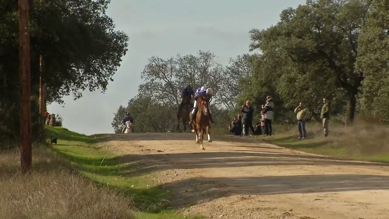 CARRERA CABALLOS TORIL 2026  1 MANGA ARABES