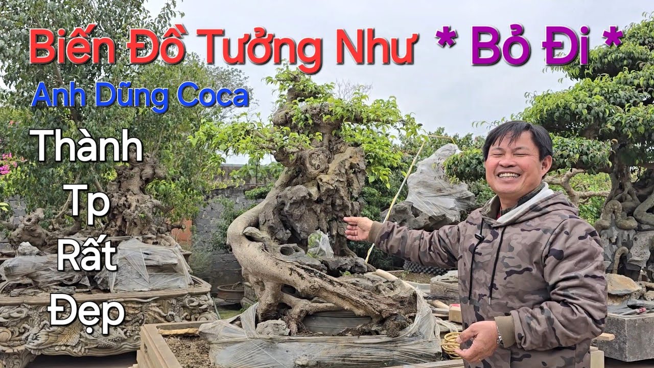 Trực Tiếp nghe anh DŨNG COCA chia sẻ BIẾN những CÂY TƯỞNG NHƯ BỎ ĐI thành TP NGHỆ THUẬT .