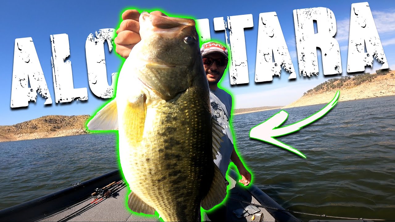 PESCANDO sin plomo con mucho VIENTO!! *ALCANTARA FISHING*