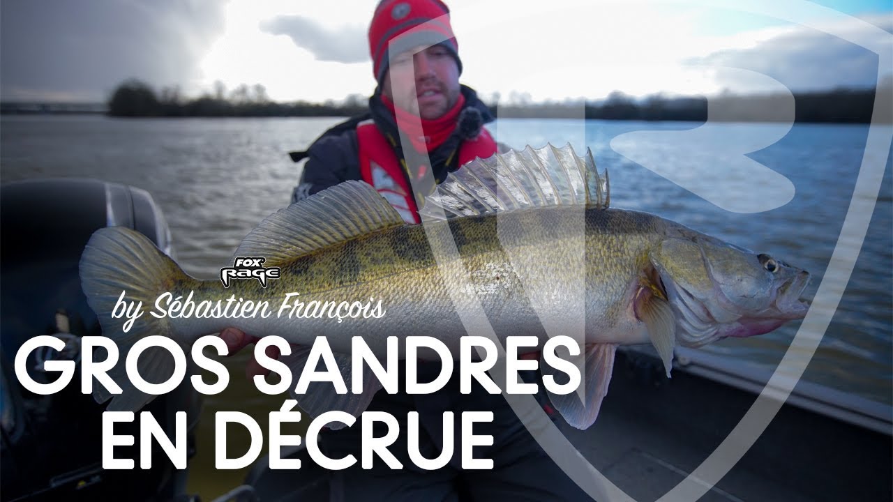 *** FOX RAGE TV FRANCE *** SANDRES EN DÉCRUE
