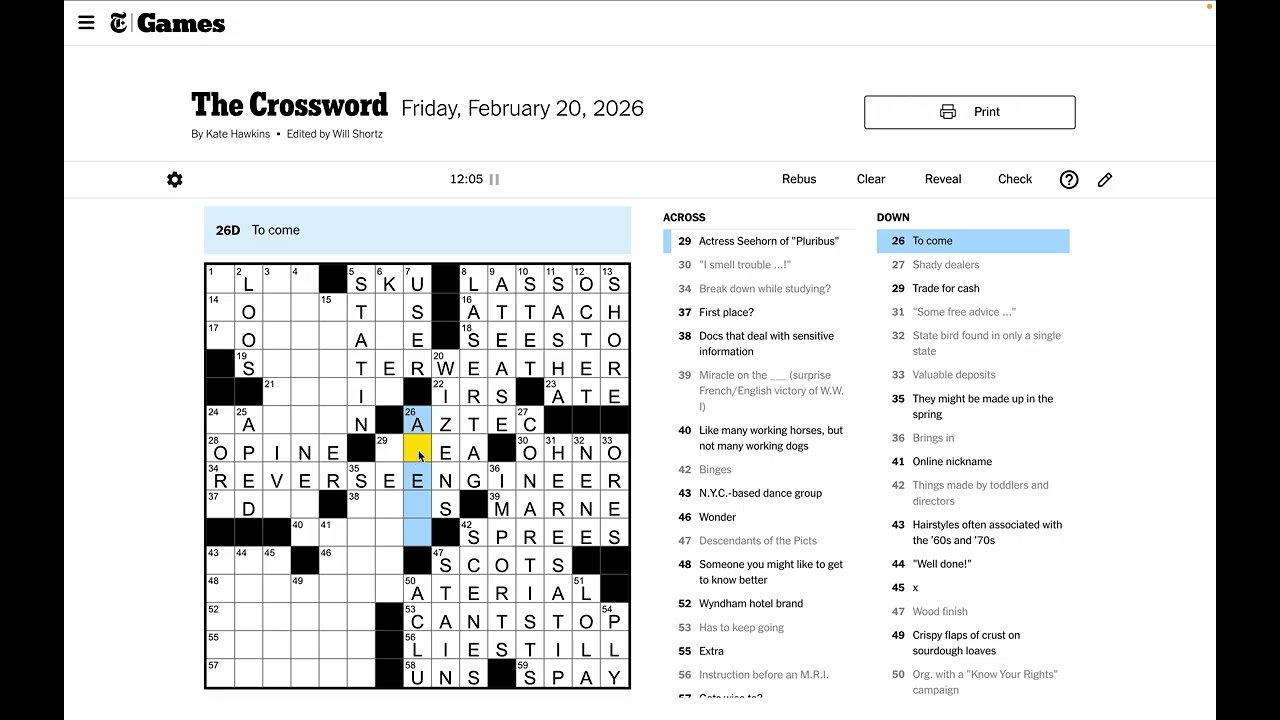 New York Times Crossword Solve - Friday Feb 20 2026