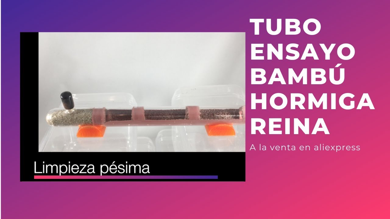 Tubo ensayo bambu