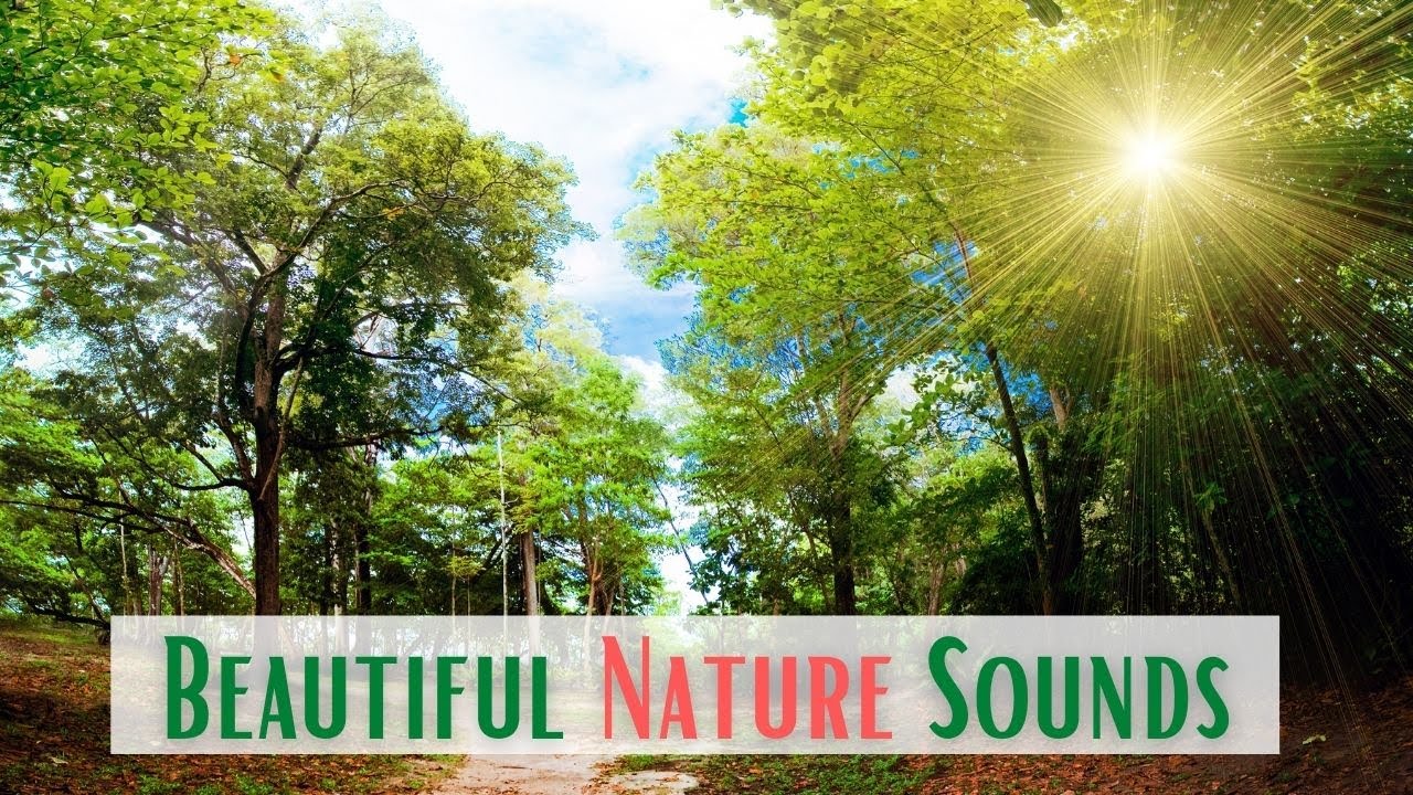 Beautiful Nature Sounds, Relaxing Music, Calming Music, Healing Music, RelaxZEN Music