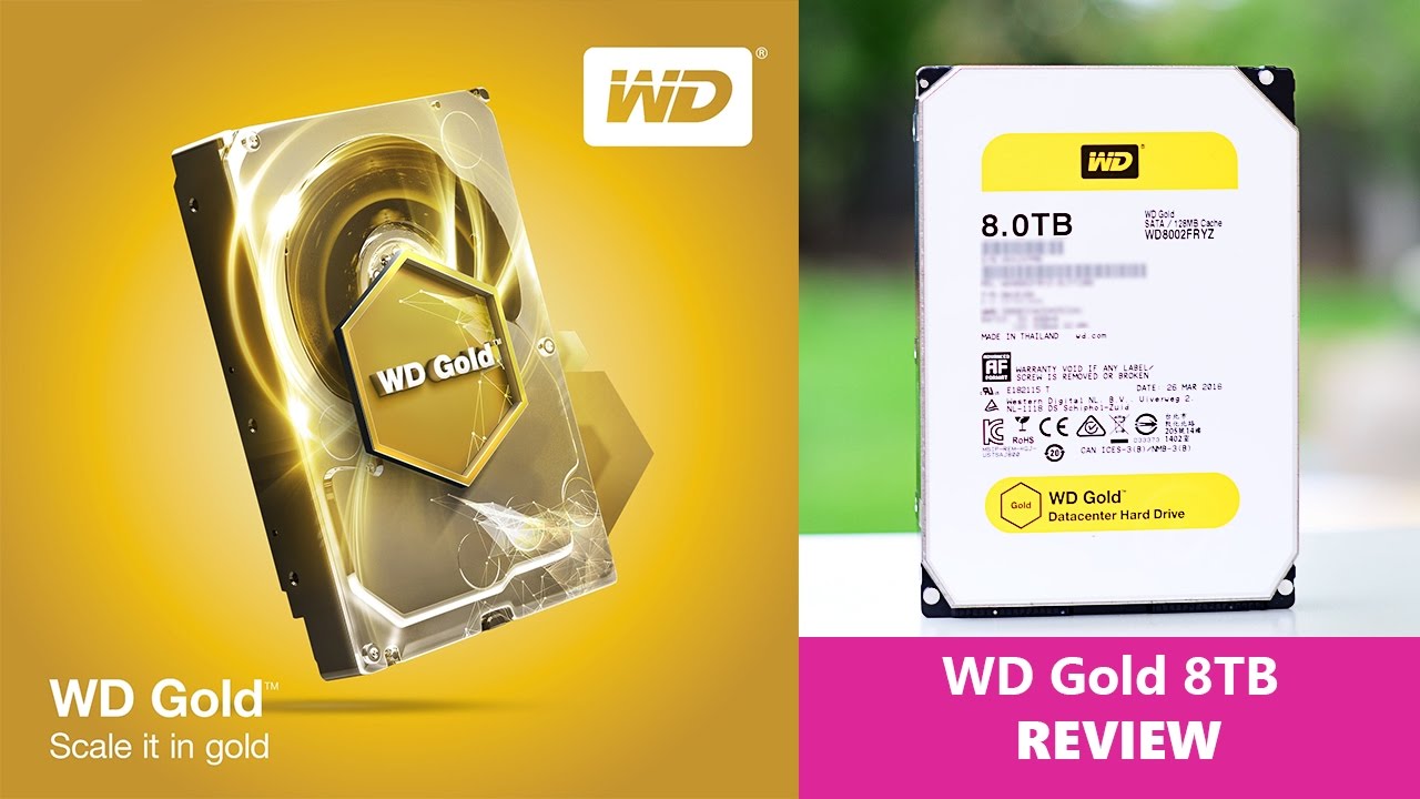 Western Digital GOLD HDD Hard Drive REVIEW