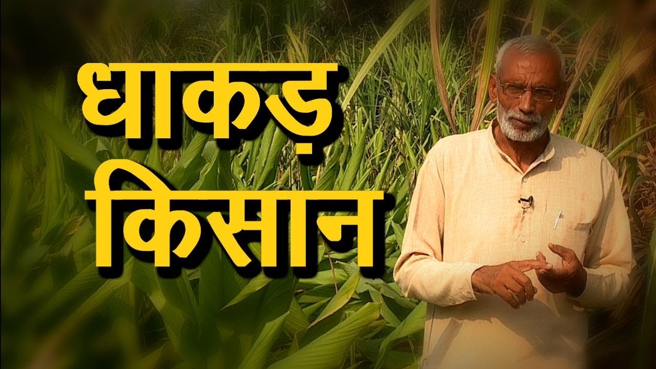 Mixed farming | बिना लागत खेती | Mixed Farming in Hindi | Organic Farming Contributor