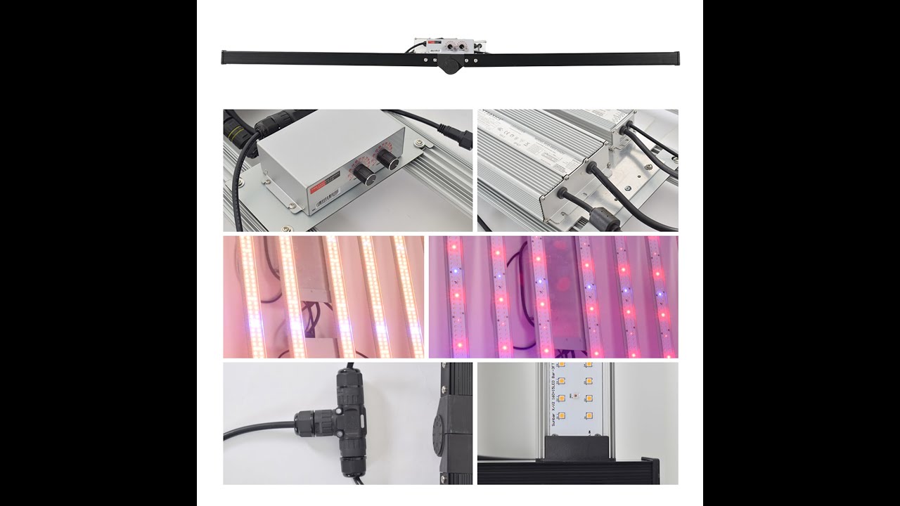 480W+240W Samsung lm301H and Cree xpe2 led grow light for indoor garden
