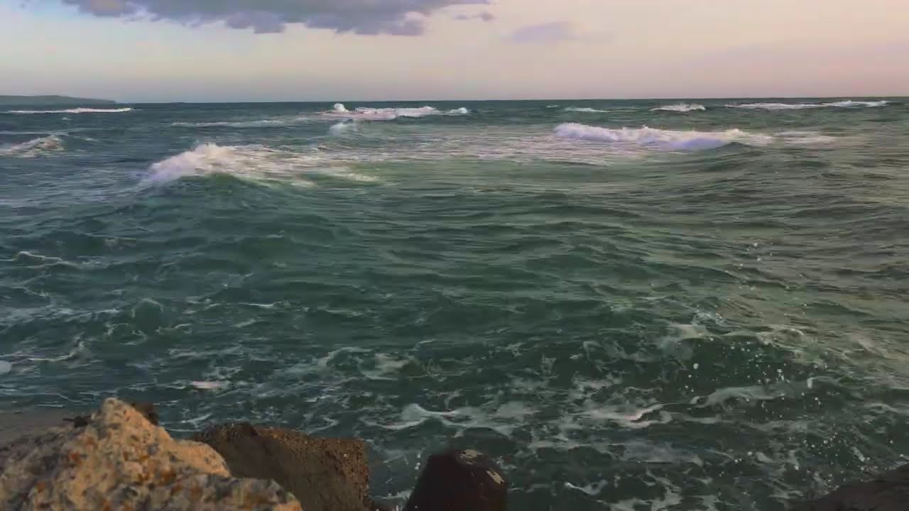 Real Life. Real Beauty.