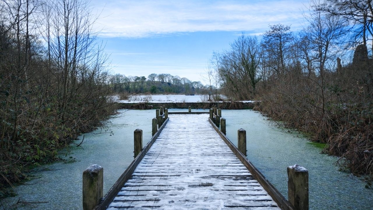 Etherow Country Park Walk, English Countryside 4K