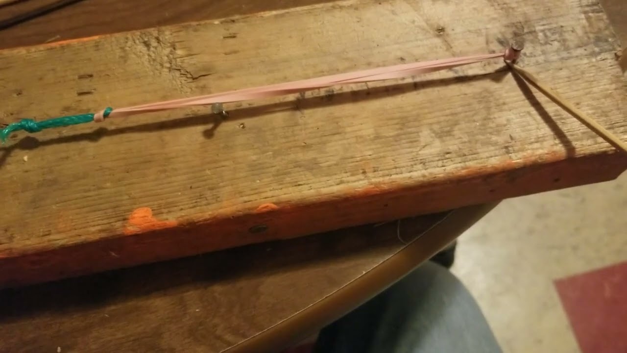 Rubber band bird snare.