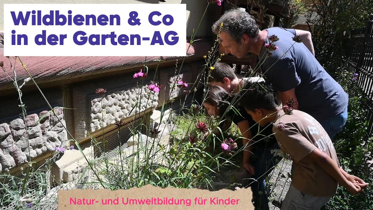 Mache mit! Wildbienen & Co in der Garten-AG