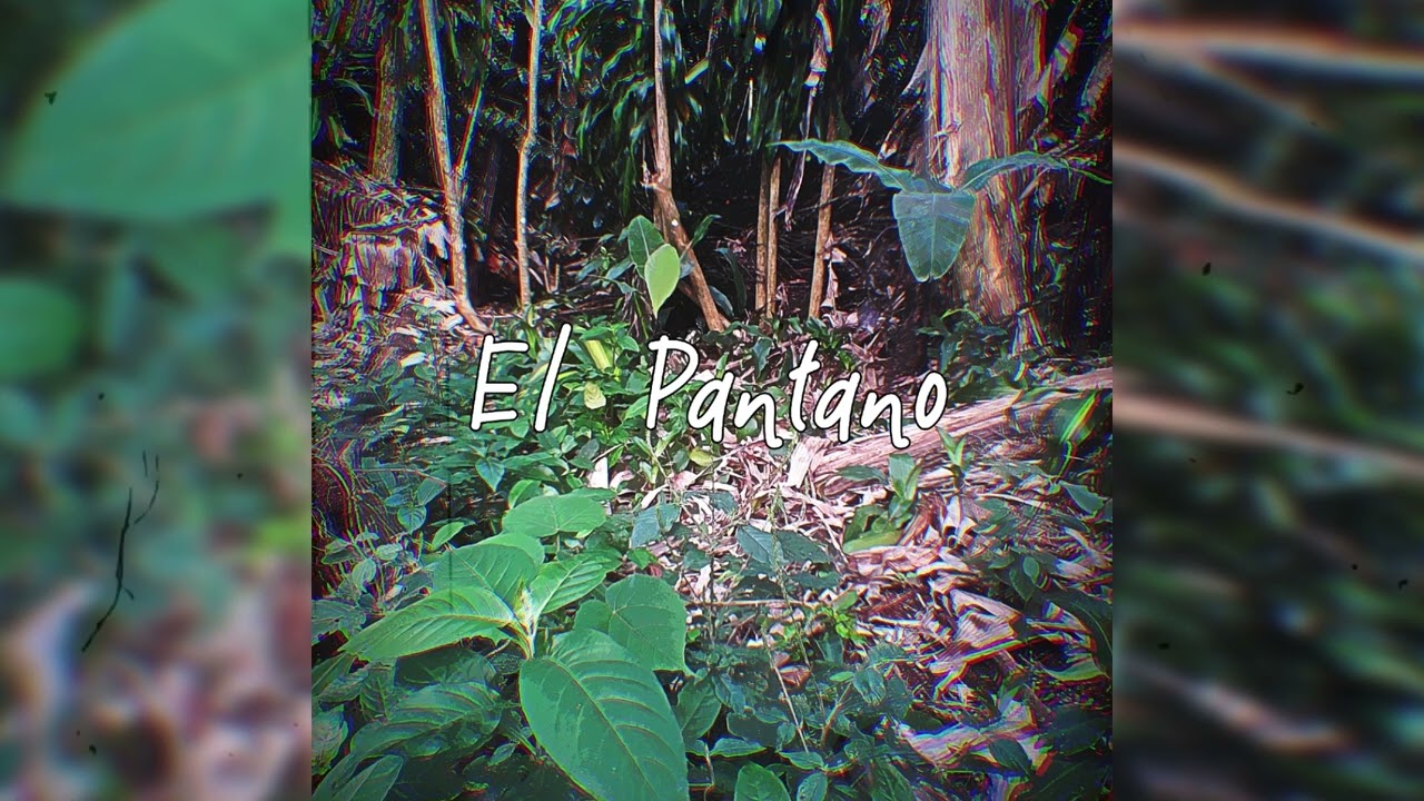 El Noveno C&iacute;rculo - El Misterio del Bosque