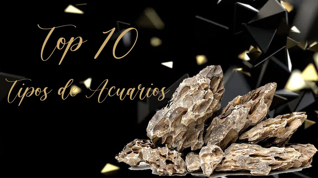 Top 10 Tipos de Acuarios