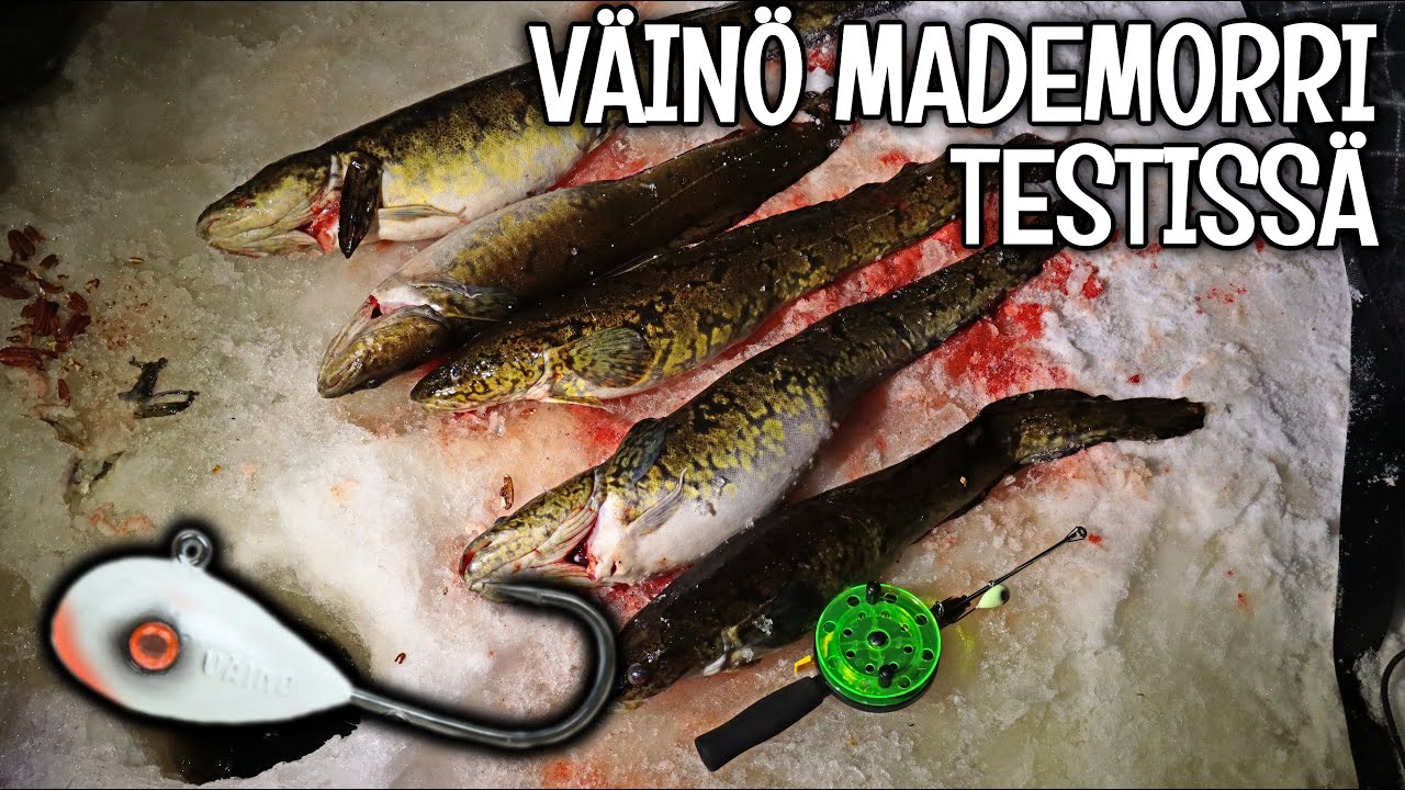 VÄINÖ MADEMORRI - MATEEN PILKINTÄ