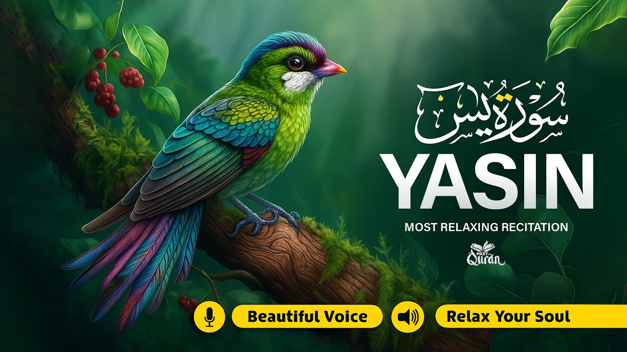 Surah Yaseen (Yasin) سورة يس | Beautiful Quran Recitation for Peace & Blessings | Meet The Quran