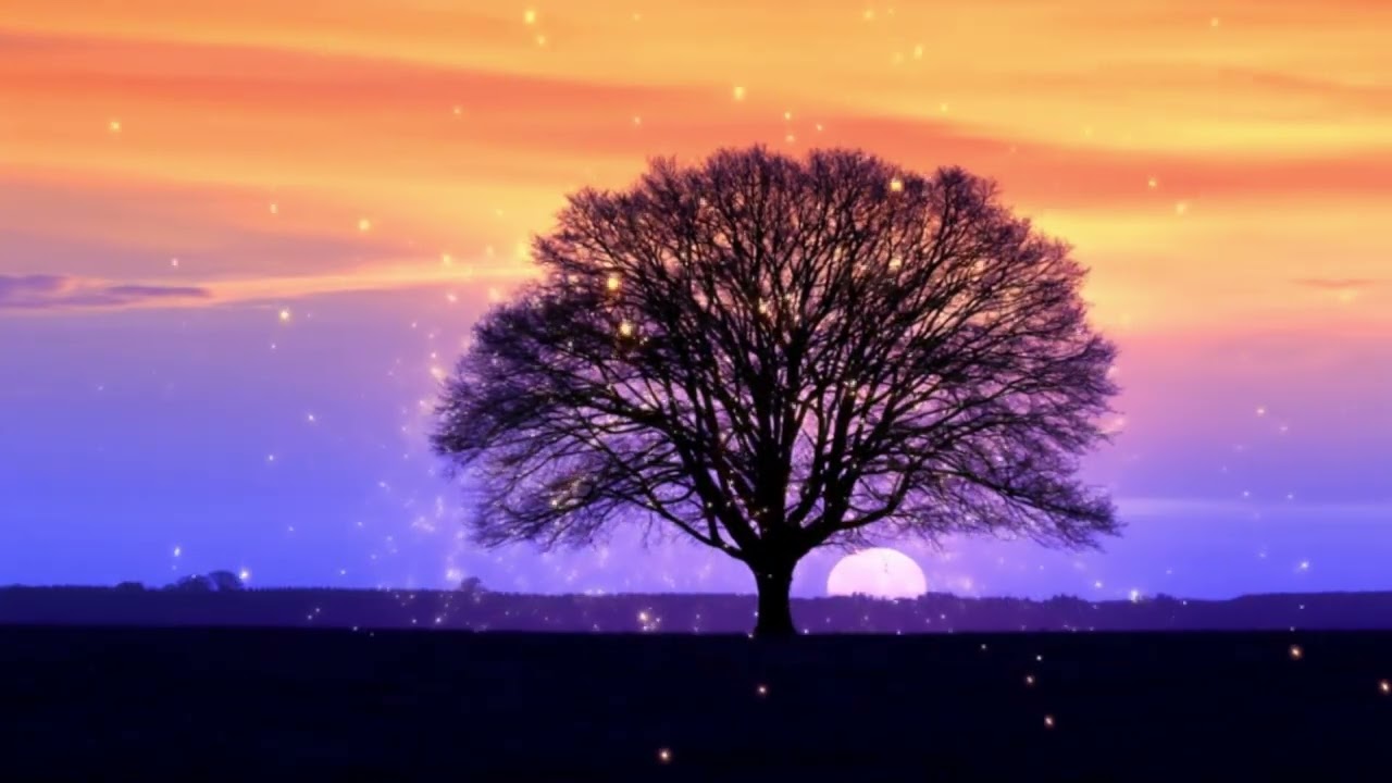PSYCHEDELIC COLOURFUL PURPLE SUNSET TREE | 5 HOUR  LOOP BACKGROUND SCREENSAVER 