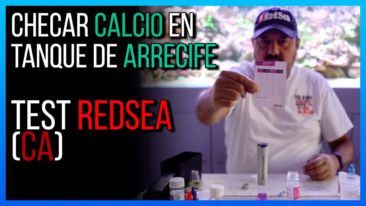 Test de CALCIO / RedSea (CA) / Tutorial