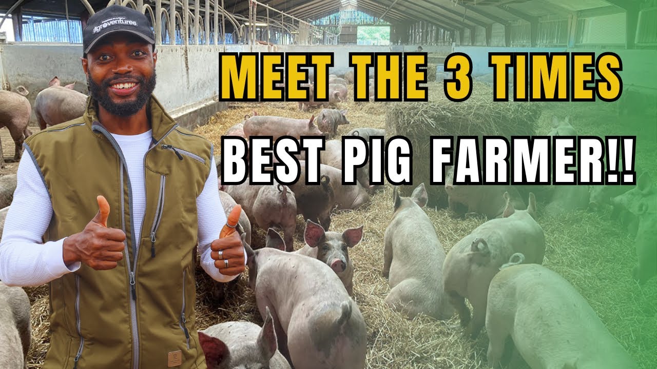 MEET TWO OF THE MOST EXPERIENCED PIG FARMERS WITH OVER 20 YEARS  OF EXPERIENCE