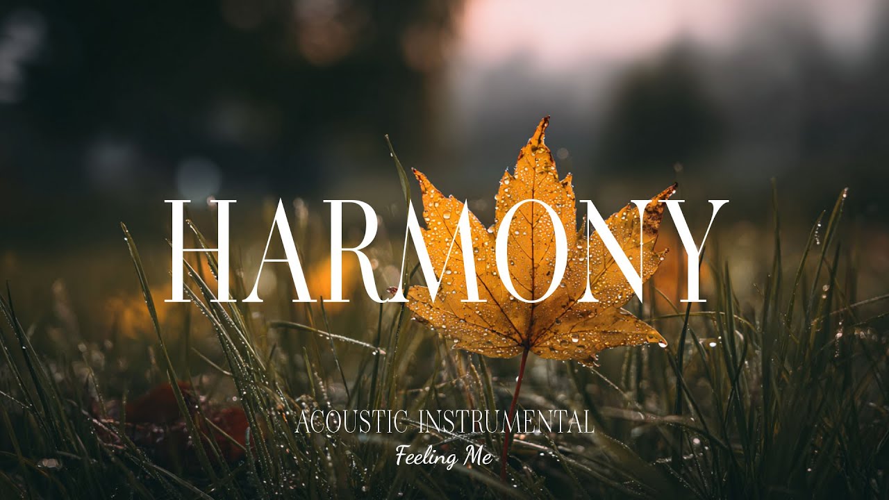 Harmonizing the Soul 🌸 Relaxing Guitar for Emotional Healing and Peace | FEELING ME