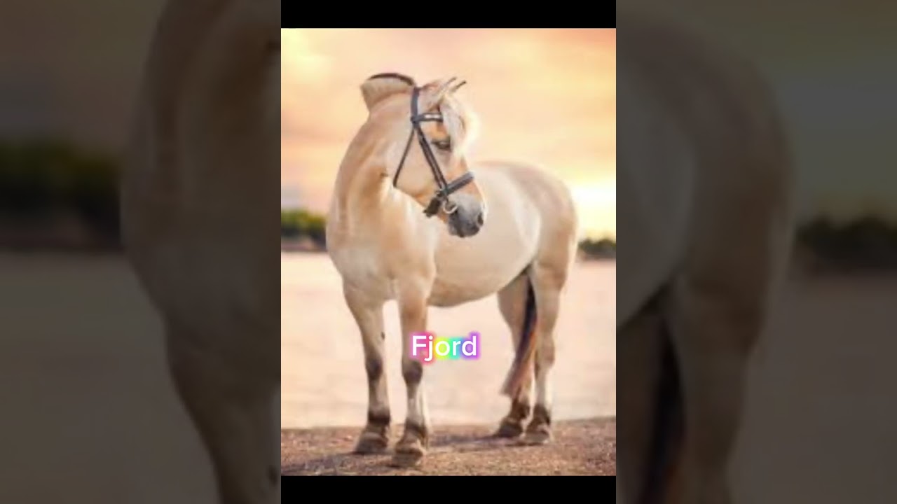 Mijn favoriete rassen