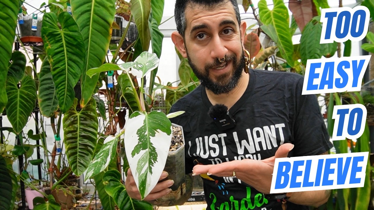 I Found the 10 +  Easiest Philodendrons for Beginners & Collectors 🌿😏