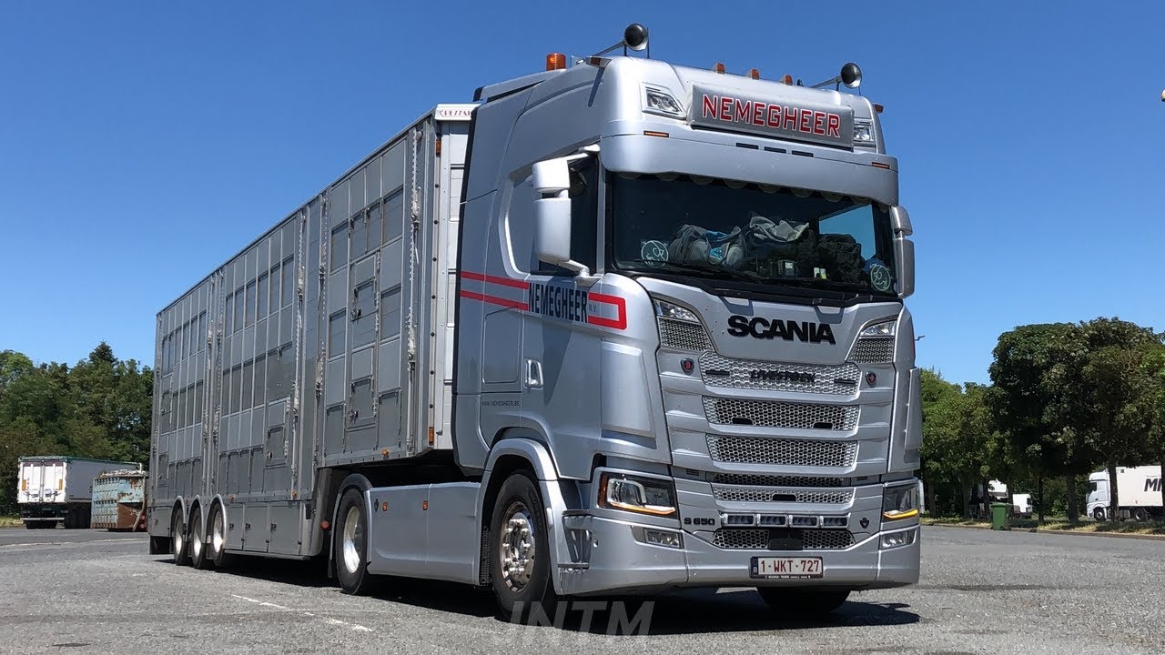 Scania S - Nemegheer - Livestock liner - Cinematic - HD