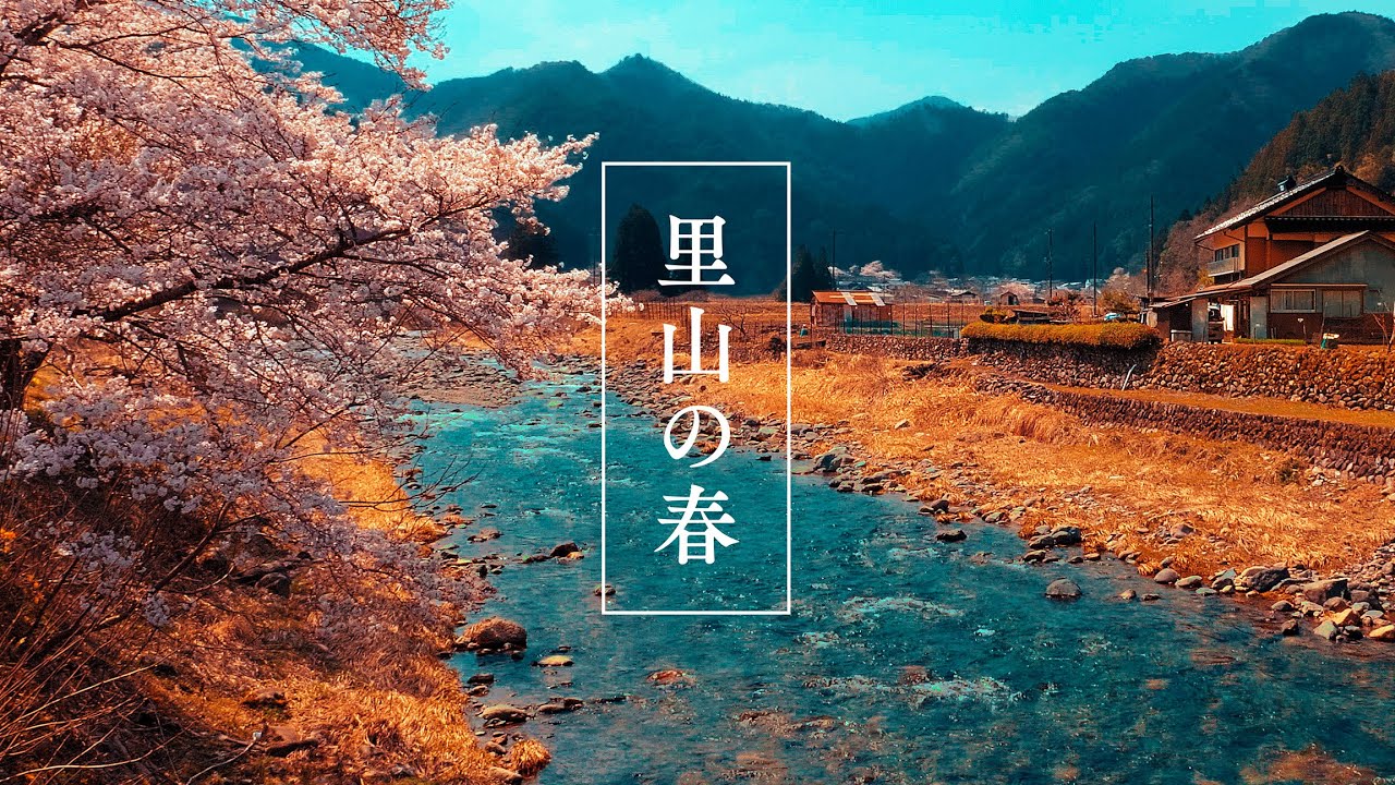 大屋川 と 大杉集落 と 樽見の大桜 │ Óya River runs through Óya town , Hyógo