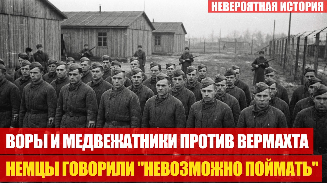 Разведчики из ЗОНЫ 11 месяцев НЕ ПОПАДАЛИСЬ, вермахт писал невозможно поймать